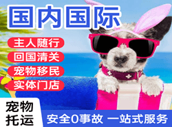 徐州观音机场物流国际宠物托运 【国